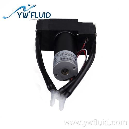 12v/24v mini diaphragm air pump with bldc motor